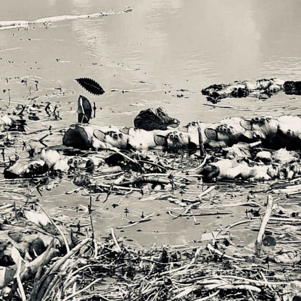 Meet your Posher, Krista